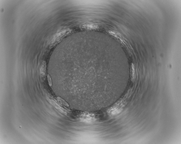 X0000086970760200704231515