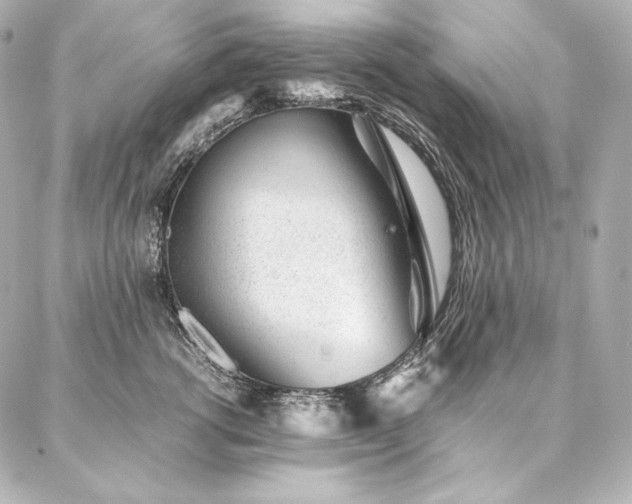 X0000086970762200704231515