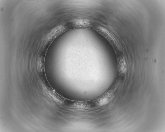 X0000086970764200704231515