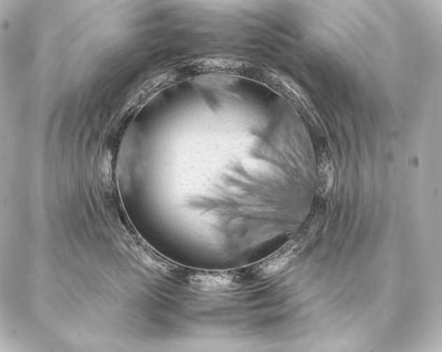 X0000086970765200704231515