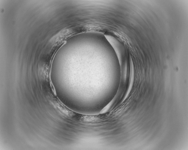 X0000086970766200704231515