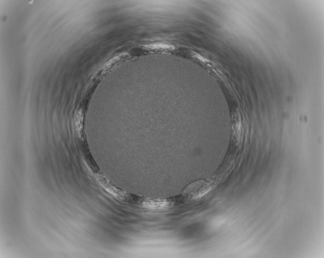 X0000086970767200704231515