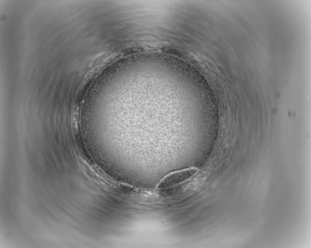 X0000086970768200704231515