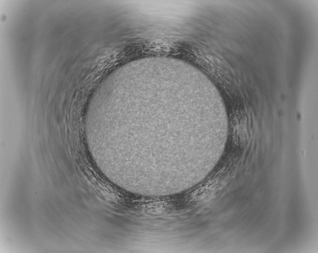 X0000086970769200704231515