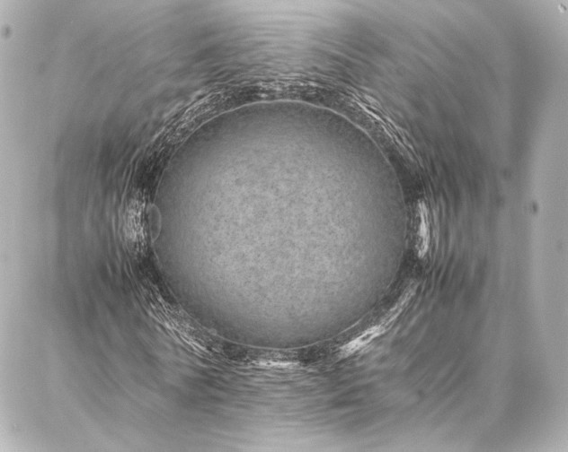 X0000086970770200704231515