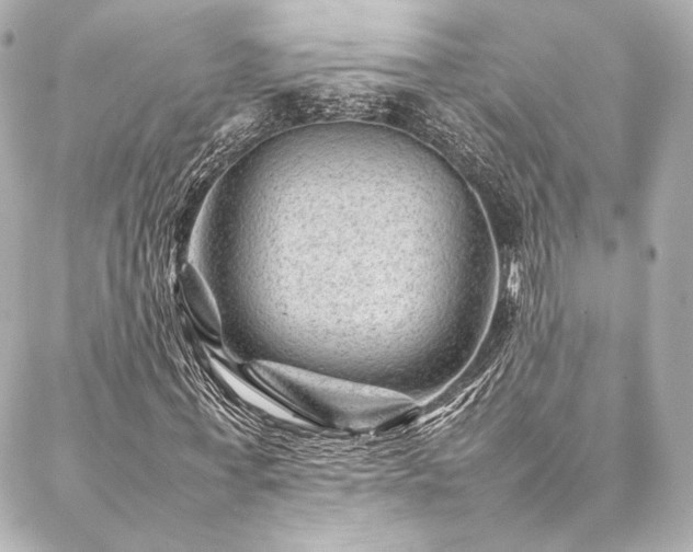 X0000086970771200704231514