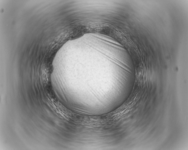 X0000086970772200704231514