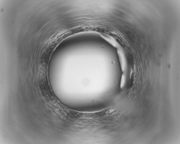 X0000086970773200704231514