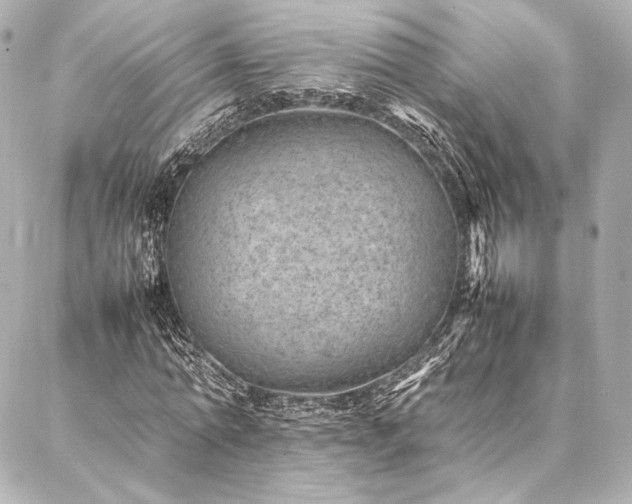 X0000086970774200704231514