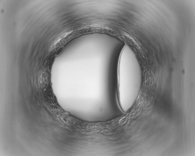 X0000086970776200704231514