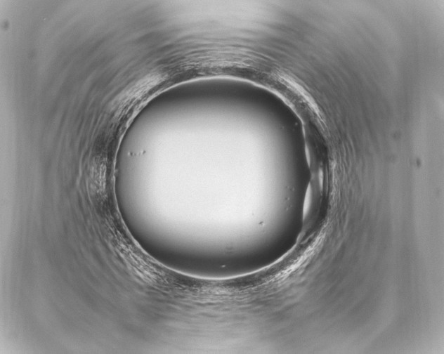 X0000086970777200704231514