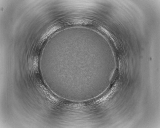 X0000086970778200704231514