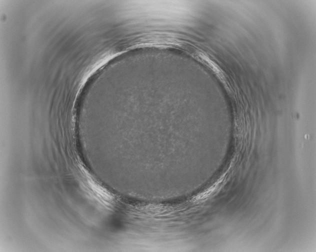 X0000086970779200704231514