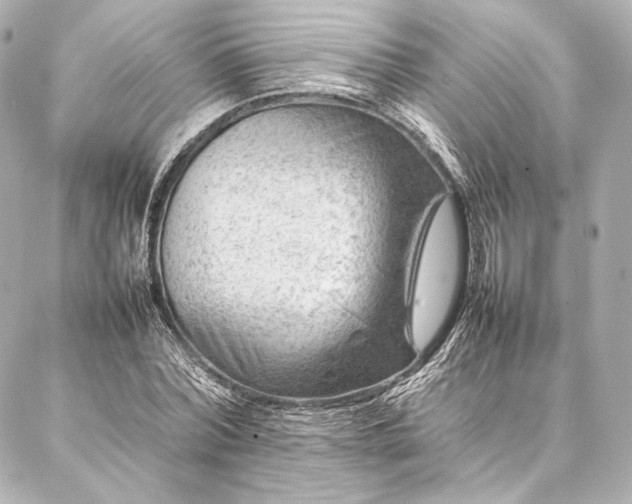 X0000086970780200704231514