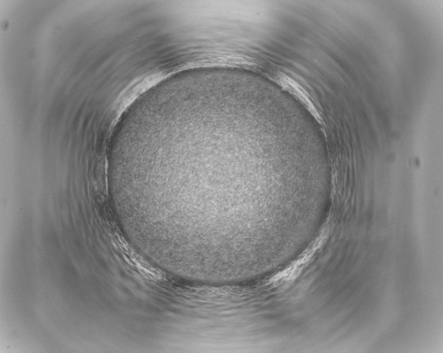 X0000086970781200704231514