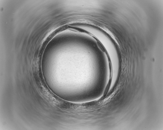 X0000086970783200704231514