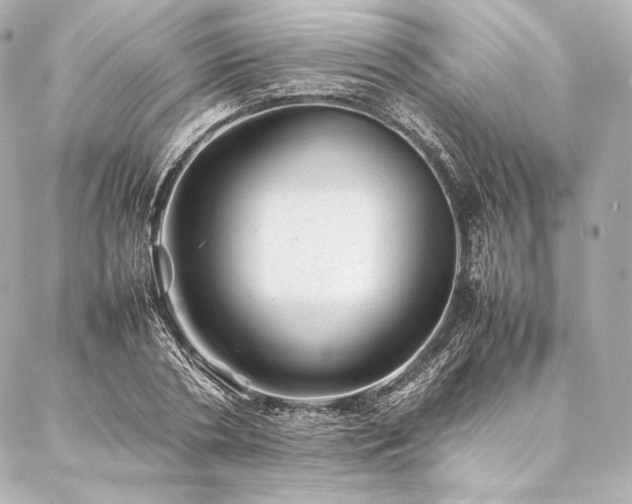 X0000086970786200704231514