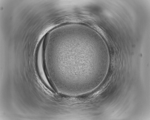 X0000086970787200704231514