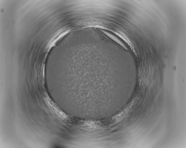 X0000086970790200704231514