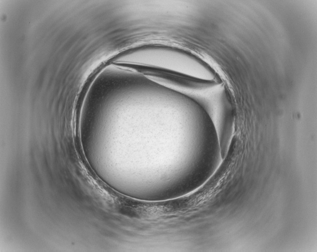 X0000086970791200704231514