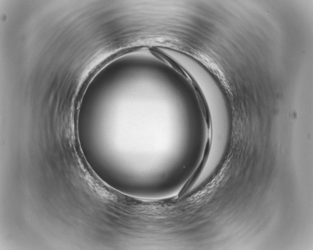 X0000086970792200704231514