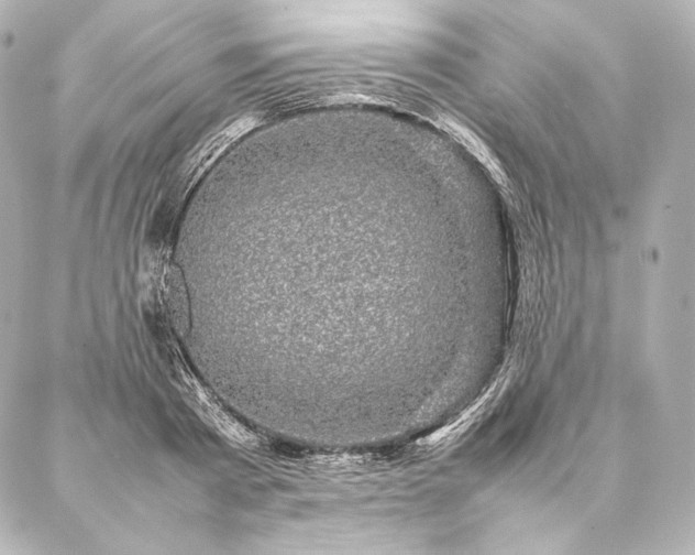 X0000086970793200704231514