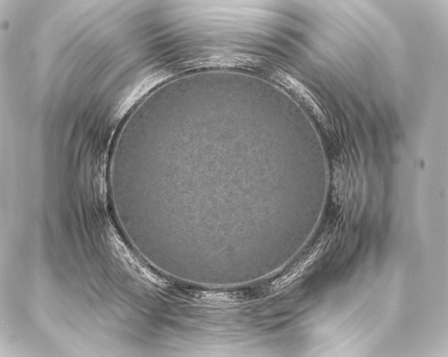 X0000086970794200704231514