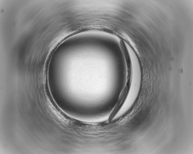 X0000086970795200704231514