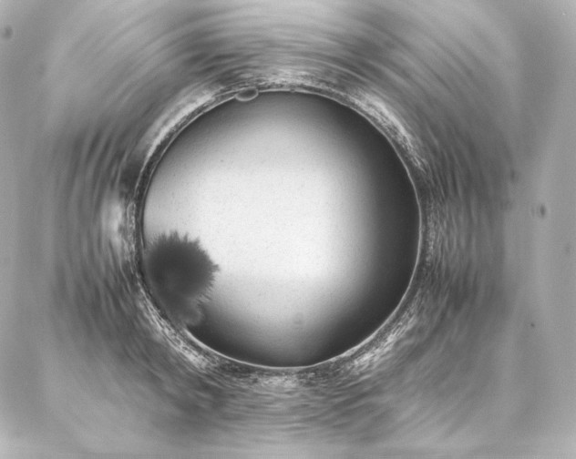 X0000086970798200704231514