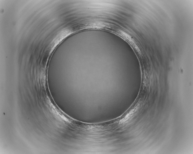 X0000086970802200704231514