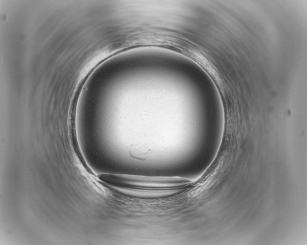 X0000086970803200704231514