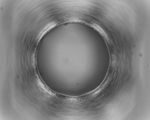 X0000086970806200704231514