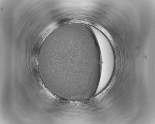 X0000086970809200704231514