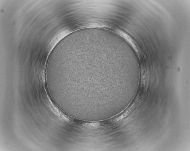 X0000086970810200704231514