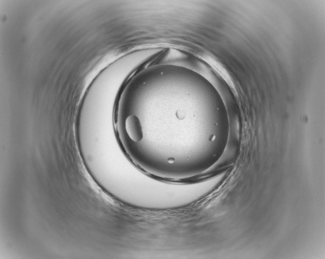 X0000086970813200704231514