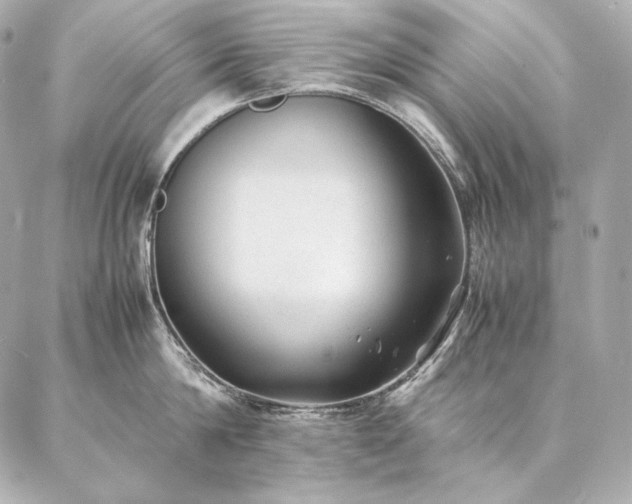 X0000086970814200704231514