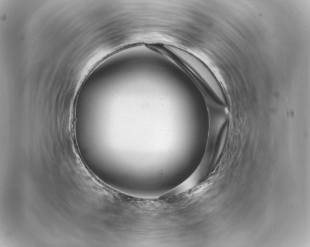 X0000086970815200704231514