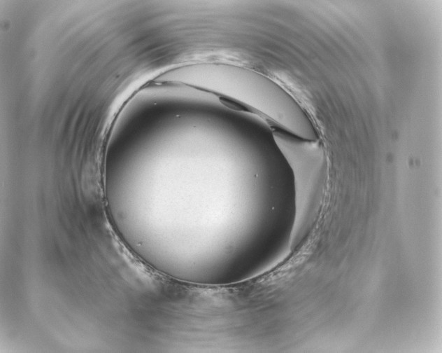 X0000086970816200704231514