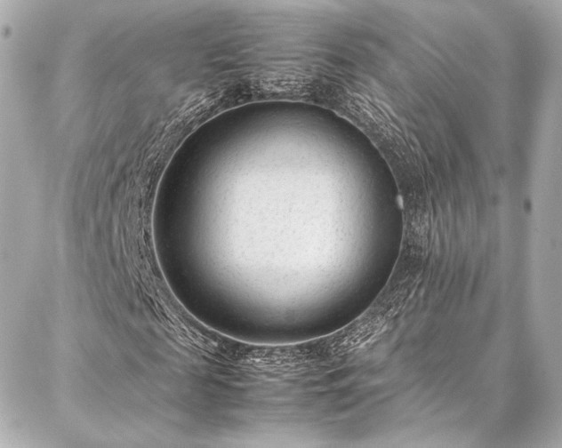 X0000086970817200704231513