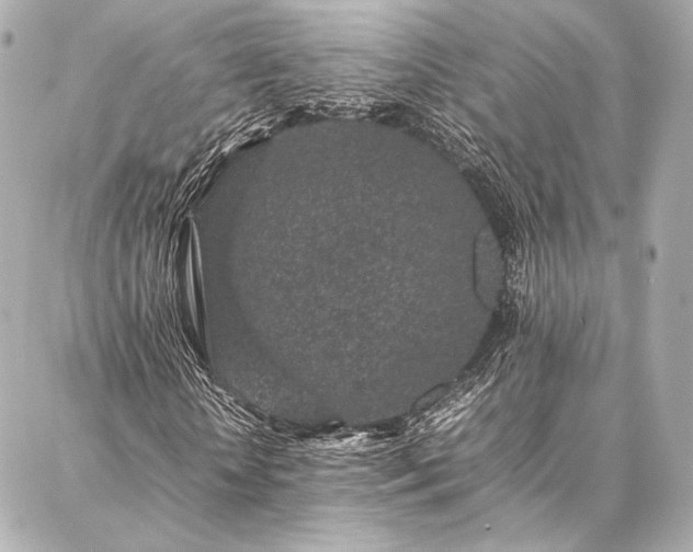 X0000086970818200704231513