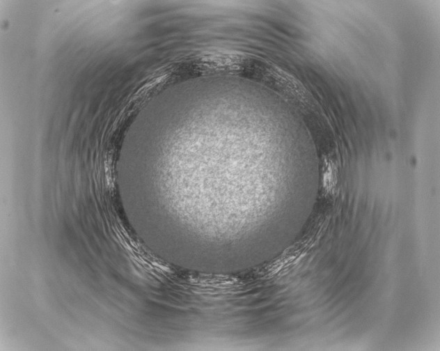 X0000086970819200704231513