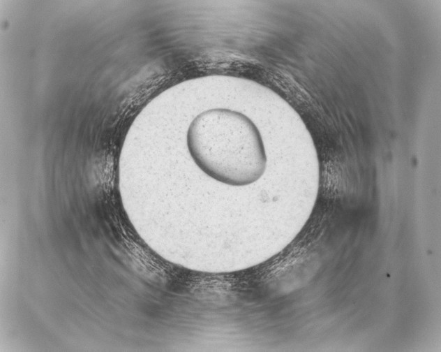 X0000086970820200704231513