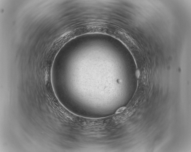 X0000086970821200704231513