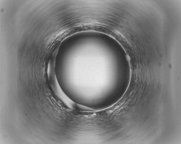 X0000086970822200704231513