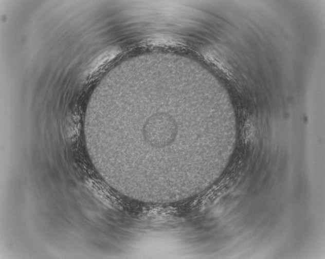 X0000086970824200704231513