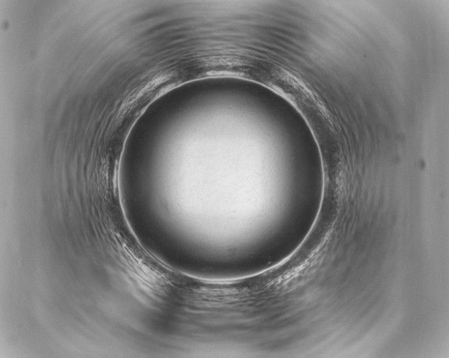 X0000086970825200704231513