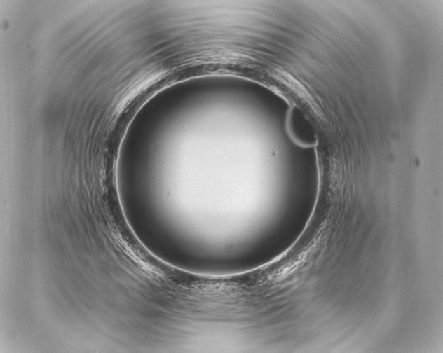 X0000086970826200704231513