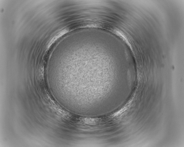 X0000086970827200704231513