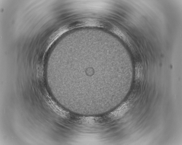 X0000086970828200704231513