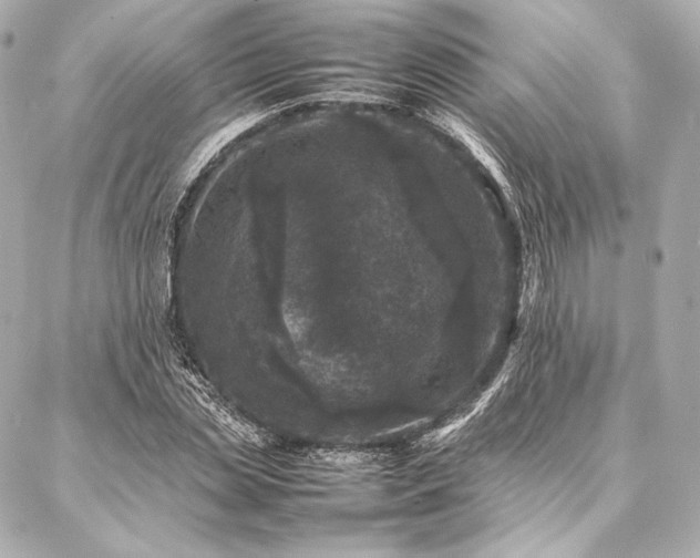 X0000086970829200704231513